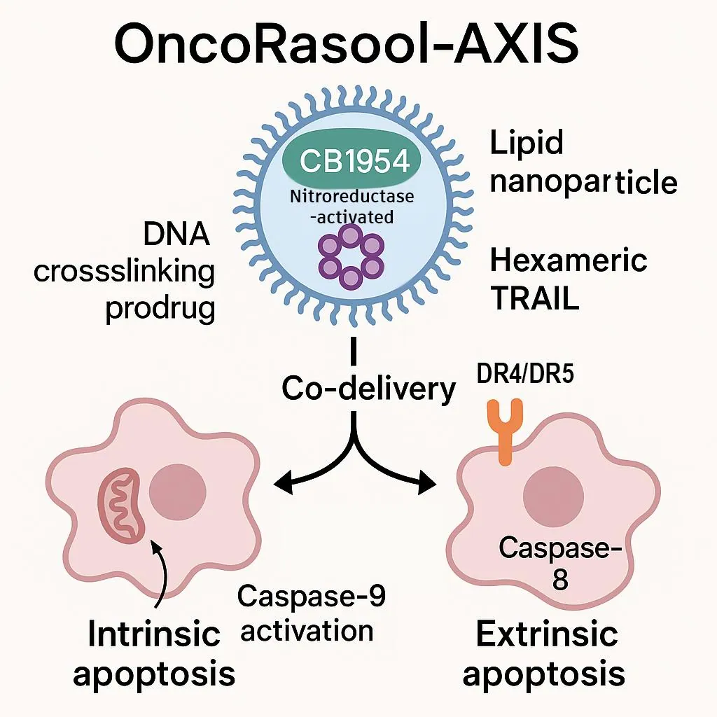 Figure 2 from “A Dual-Mechanism Lipid Nanoparticle Therapeutic Combining Enzyme-Activated DNA Crosslinking and ROS Generation with TRAIL Receptor Agonism for Synergistic Apoptosis in Cancer Cells”
